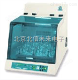 HG25-WS-600 出租振荡培养箱 常温制药分子学培养箱 时间控制系统培养箱