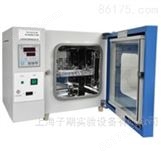 上海子期DHG系列电热鼓风干燥箱